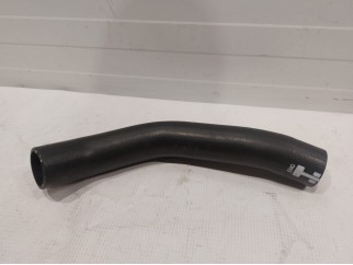 Upper Hose (right)